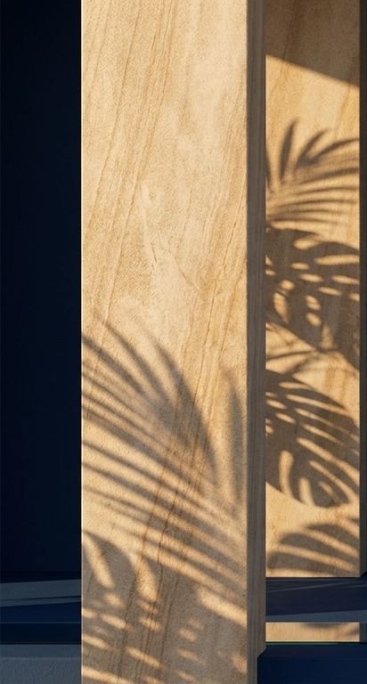 A sunlit stone column against a deep ground, crossed by palm shadows